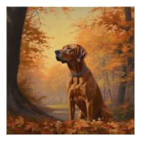 Rhodesian Ridgeback im Herbstfall Inspiriert