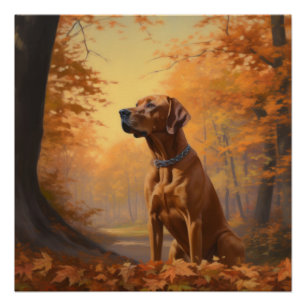 Rhodesian Ridgeback im Herbstlaubfall inspiriert Poster