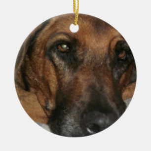 Rhodesian Ridgeback Keramikornament