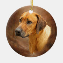 Rhodesian Ridgeback
