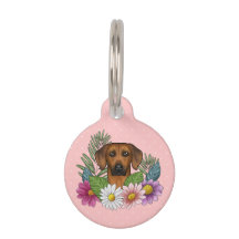 Rhodesian Ridgeback Kopffarbige Blume auf rosa