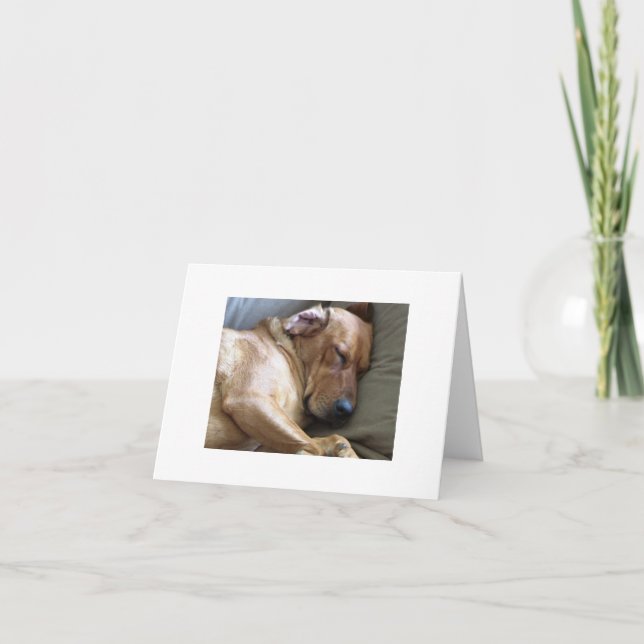 Rhodesian Ridgeback Labrador Dog Mix Karte (Vorderseite)
