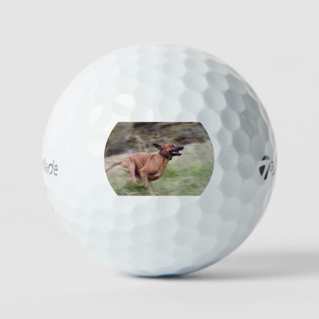Rhodesian Ridgeback Laufen 2 Golfball (Vorderseite)