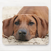 Rhodesian Ridgeback Muismat