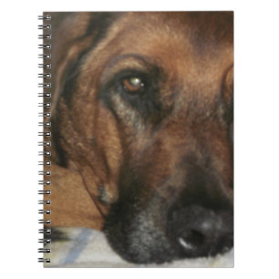 Rhodesian Ridgeback Notizblock