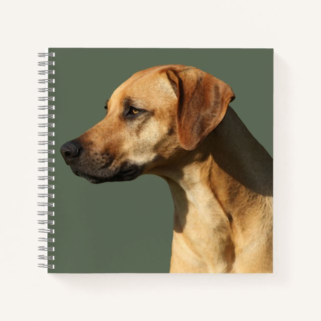 Rhodesian Ridgeback Notizbuch (Vorderseite)