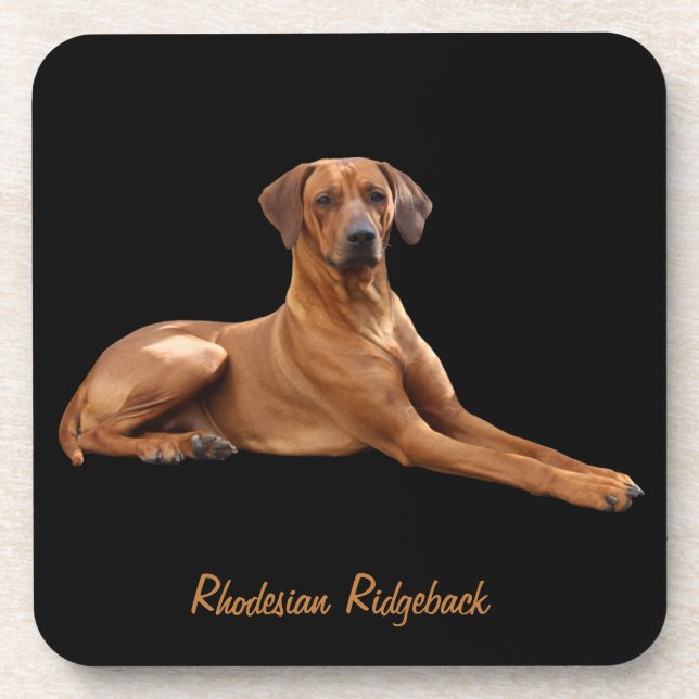 Rhodesian Ridgeback onderzetters (set van 6 stuks) Getränkeuntersetzer (Vorderseite)
