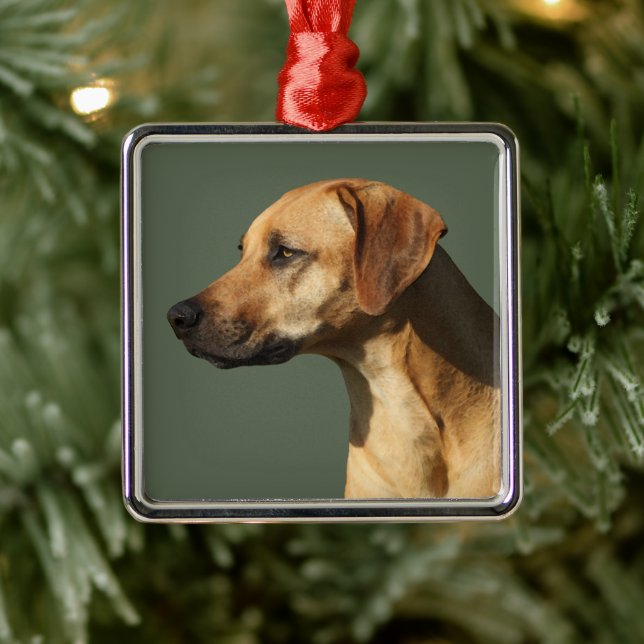 Rhodesian Ridgeback Ornament Aus Metall (Baum)