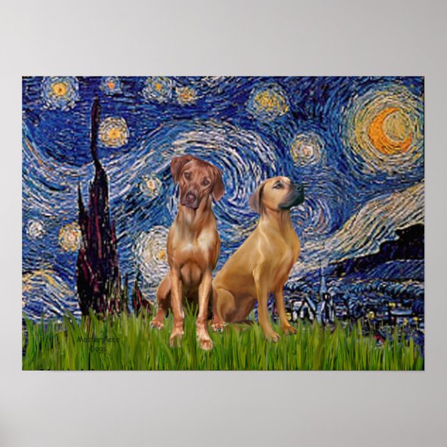 Rhodesian Ridgeback Pair - Starry Night Poster (Vorne)
