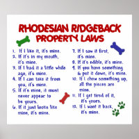 RHODESIAN RIDGEBACK