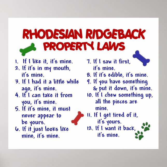 RHODESIAN RIDGEBACK POSTER (Vorne)
