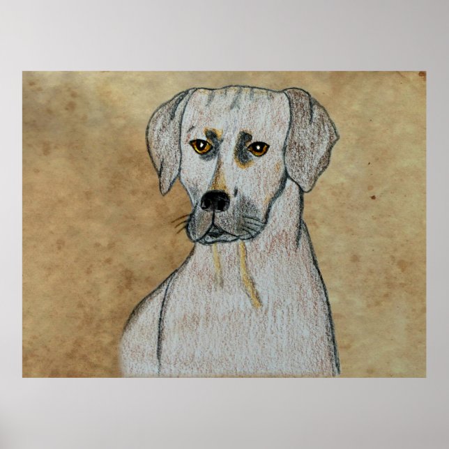Rhodesian Ridgeback Poster (Vorne)