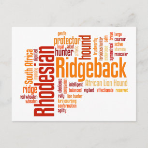 Rhodesian Ridgeback Postkarte
