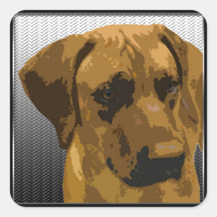 Rhodesian Ridgeback Quadratischer Aufkleber