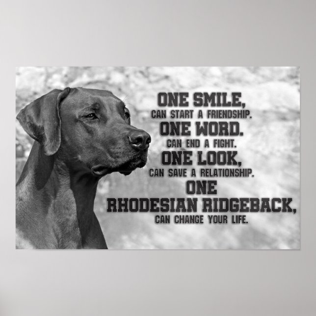 Rhodesian Ridgeback Quotes Poster (Vorne)