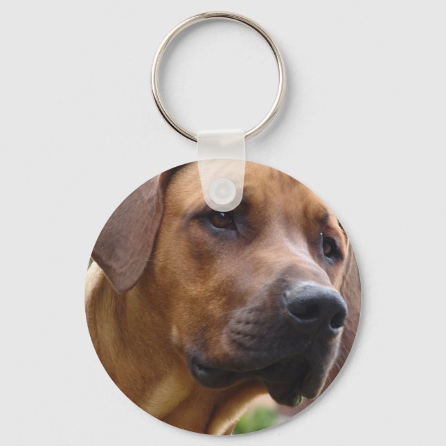 Rhodesian Ridgeback Schlüsselanhänger (Vorderseite)