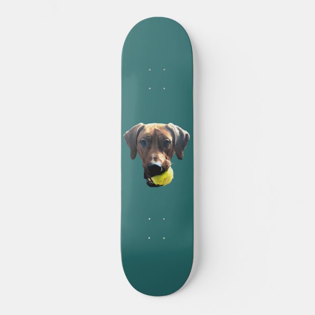Rhodesian Ridgeback Skateboard (Vorderseite)