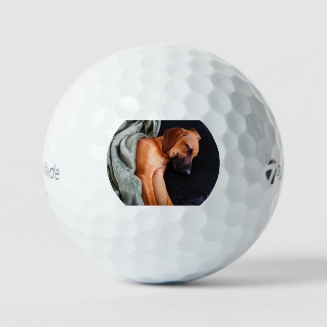 Rhodesian-Ridgeback-Snuggy Golfball (Vorderseite)