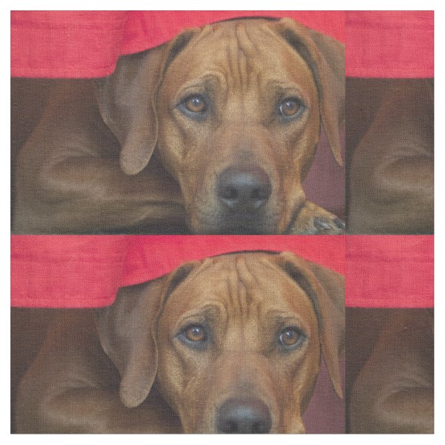 rhodesian-ridgeback stoff (Nahaufnahme)