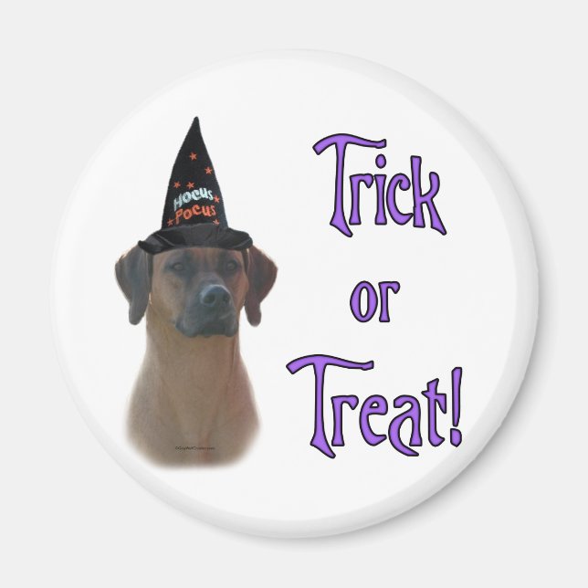 Rhodesian Ridgeback Trick Magnet (Vorne)