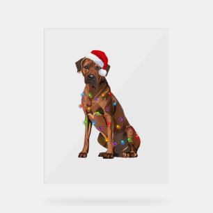 Rhodesian Ridgeback Weihnachtsbeleuchtung Xmas Hun Acrylschild