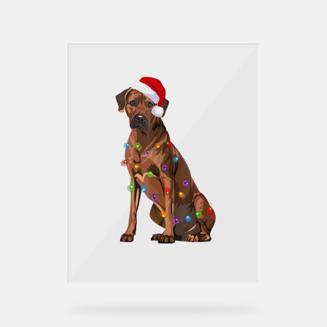 Rhodesian Ridgeback Weihnachtsbeleuchtung Xmas Hun Acrylschild (Vorderseite)