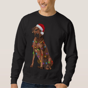 Rhodesian Ridgeback Weihnachtsbeleuchtung Xmas Hun Sweatshirt