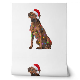 Rhodesian Ridgeback Weihnachtsbeleuchtung Xmas Hun Tapete