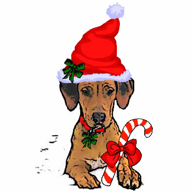 Rhodesian Ridgeback Weihnachtsgeschenke Ornament Fotoskulptur Ornament (Vorne)