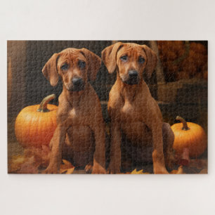 Rhodesian Ridgeback Welpe Herbstfreude Kürbis 