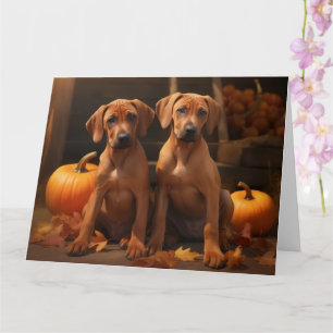Rhodesian Ridgeback Welpe Herbstfreude Kürbis  Karte