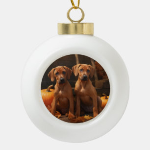 Rhodesian Ridgeback Welpe Herbstfreude Kürbis  Keramik Kugel-Ornament