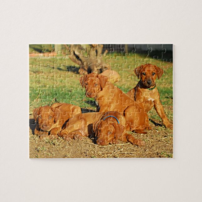 Rhodesian Ridgeback Welpenpuzzlespiel (Horizontal)