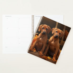 Rhodesian Ridgeback Welppy Autumn Delight Pumpkin Planer