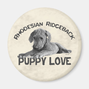 Rhodesian Ridgeback Zeichnen Magnet