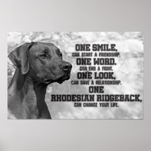 Rhodesian Ridgeback Zitate Poster