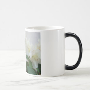RHODIES AZALEENBLÜTEN Azaleen Karten Geschenke Tas Verwandlungstasse