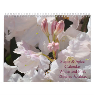 Rhodies Azalées Calendrier Sucre & Épice Rose Blan
