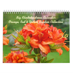 Rhodies Caleandars Rhododendron-rotes orange Gelb Kalender