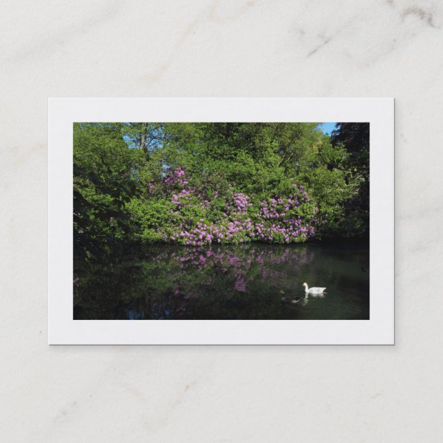 Rhododendren (grenzt) visitenkarte (Vorderseite)