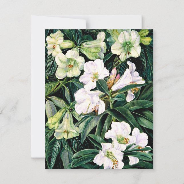 Rhododendren Karte (Vorderseite)