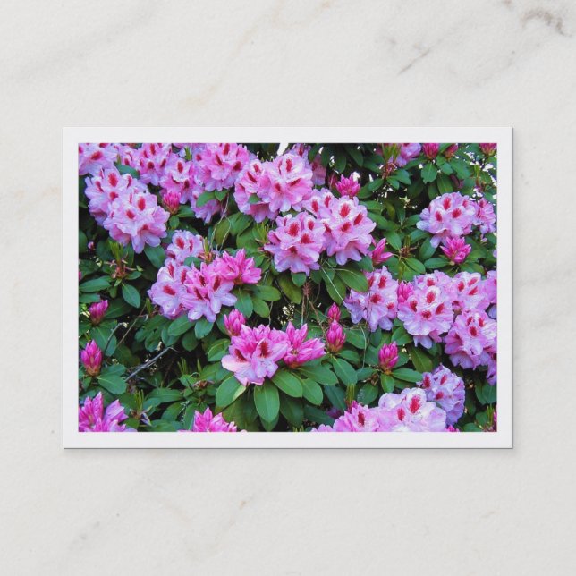 Rhododendren, Mini-Fotokarte Visitenkarte (Vorderseite)