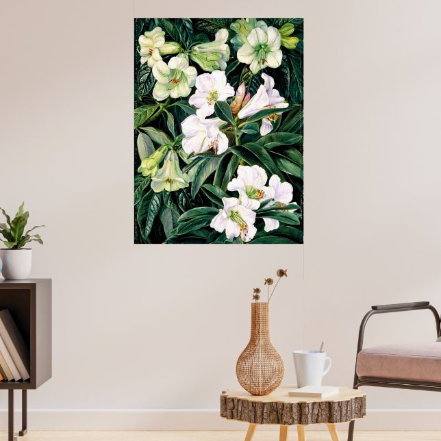 Rhododendren Poster (Wohnzimmer 3)