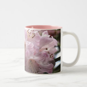 Rhododendren Rosa Azaleen Tasse