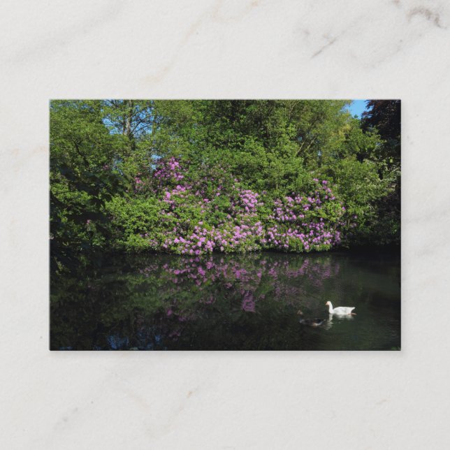 Rhododendren Visitenkarte (Vorderseite)