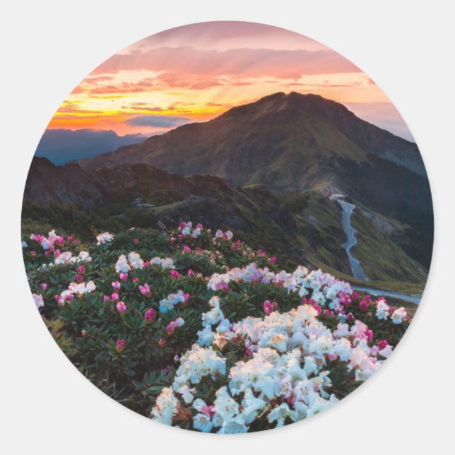 Rhododendron Blooming | Taroko-Nationalpark Runder Aufkleber (Vorderseite)