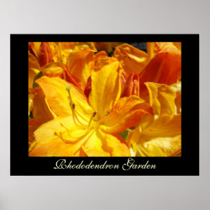 Rhododendron Blume Kunstdrucke Sisters Garden Poster