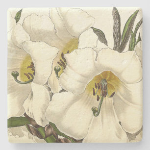Rhododendron-BlumenBlumen-SteinUntersetzer Steinuntersetzer