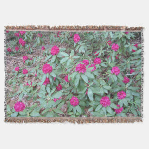 Rhododendron Decke