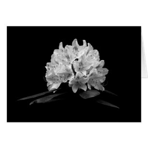 Rhododendron En noir et blanc Personnalisé noir